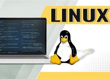 The Basics of Linux Command Line